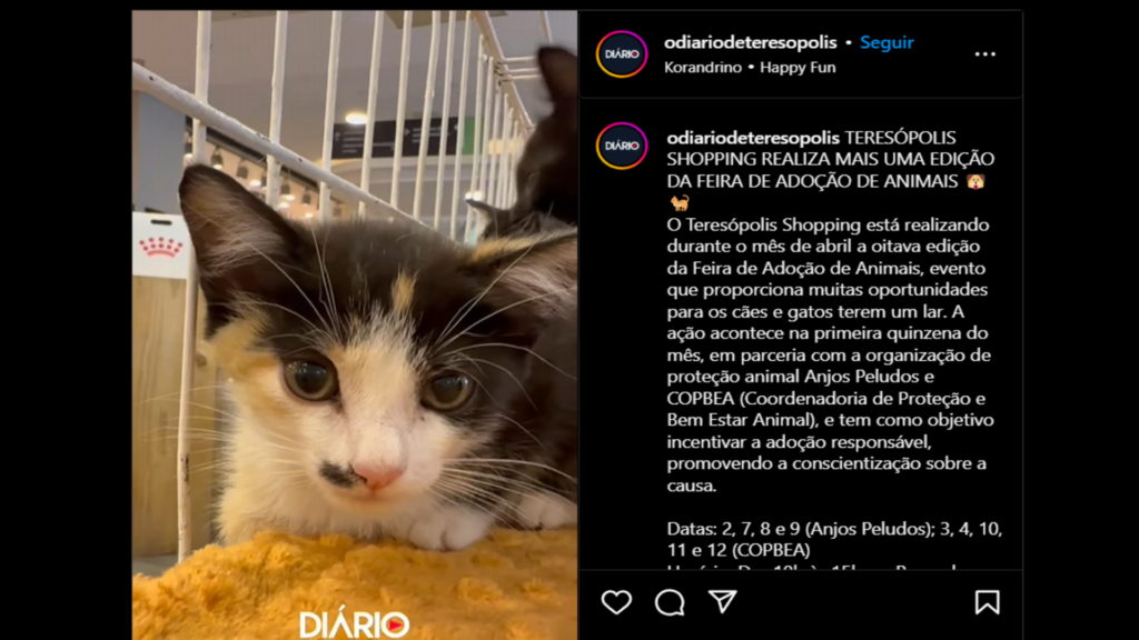 Anjos Peludos e O Diário de Teresópolis